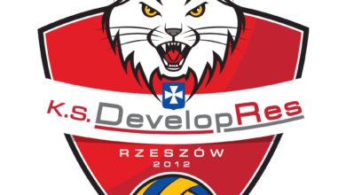 Developres BELLA DOLINA Rzeszów logo