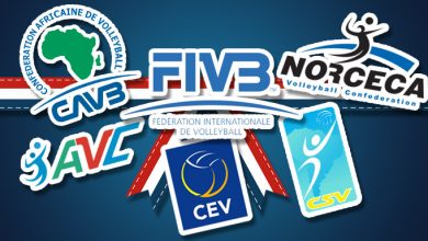 organizacje siatkarskie