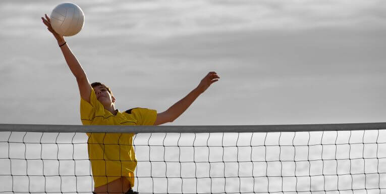 siatka do siatkówki