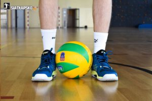 ASICS Sky Elite FF MT 2